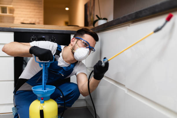 Best Best Pest Control Companies  in Bellmore, NY