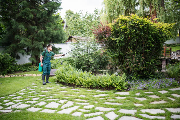 Best Mosquito Control Services  in Bellmore, NY