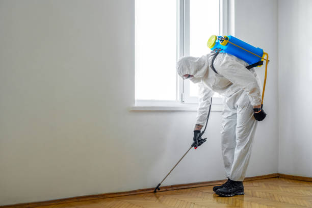 Professional Pest Control in Bellmore, NY