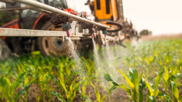 Best Pest Control Cost  in Bellmore, NY